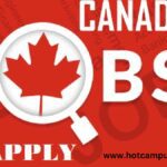 Swedish Institute Scholarship 2027 🇸🇪 | Fully Funded Master’s in Sweden Jobs in Canada With FREE Visa Sponsorship