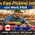 Top-Egg-Picking-Jobs-with-Work-VISA
